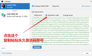 2025IDEA最新激活码激活教程-玩转Code